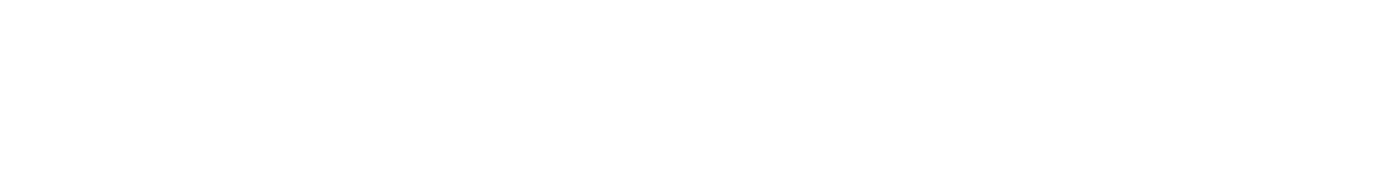 Item 1